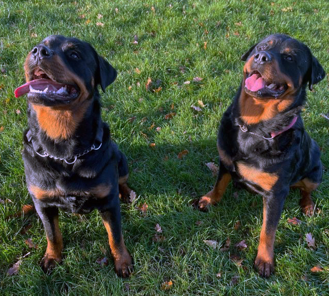 WEers and Baily